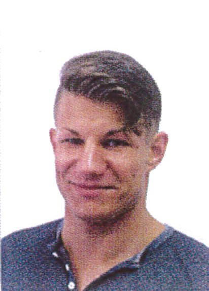 reimer michael